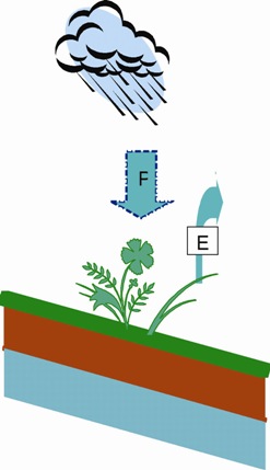 Fig 5 - If precipitation (P) is greater than Evapotranspiration (E) then we have 